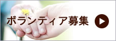 ボランティア募集